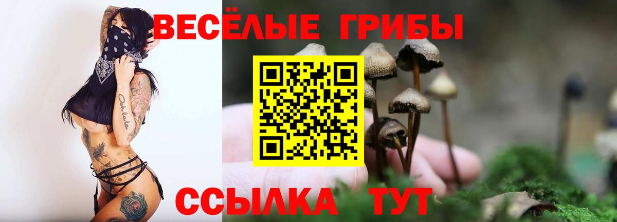 Псилоцибиновые грибы MAGIC MUSHROOMS Георгиевск
