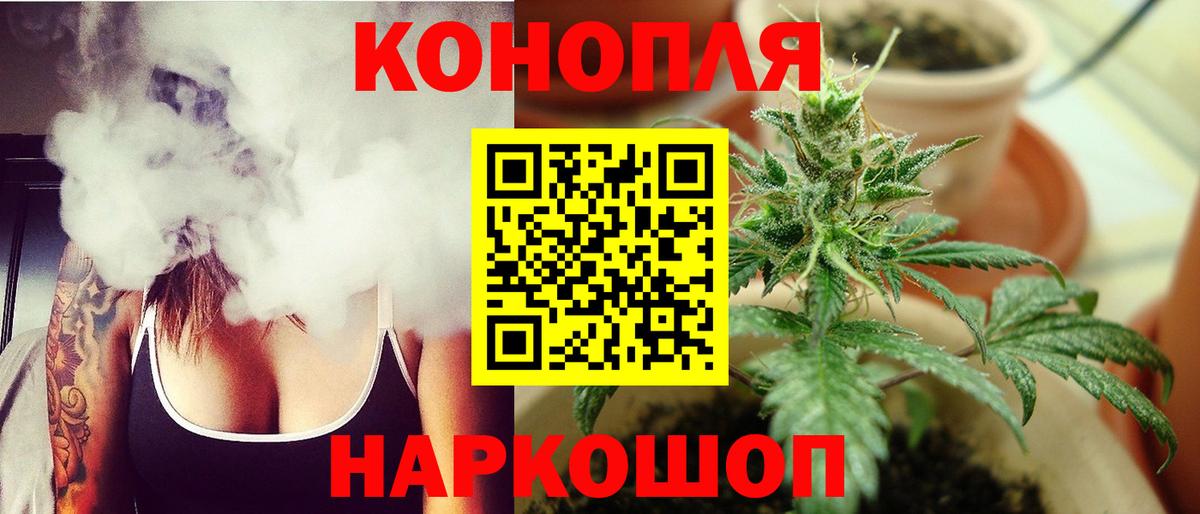 Шишки марихуана сатива Георгиевск